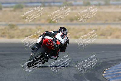 media/Apr-10-2022-SoCal Trackdays (Sun) [[f104b12566]]/Turn 11 Backside (945am)/